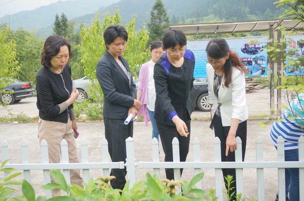 考察黄精、牡丹种植基地.jpg